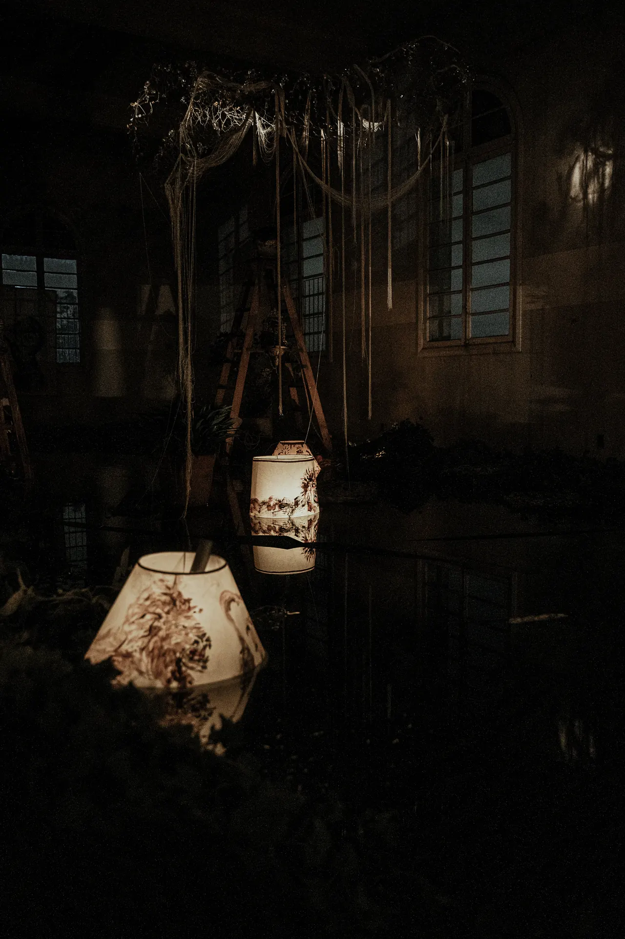 o lago, detalhe, fernanda romão