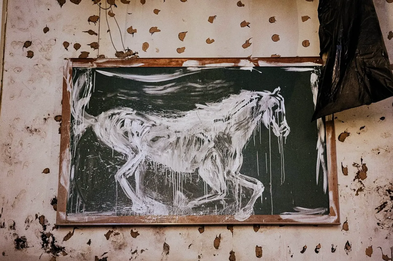 cavalo de pau, alceu, fernanda romão, série wild, 2021